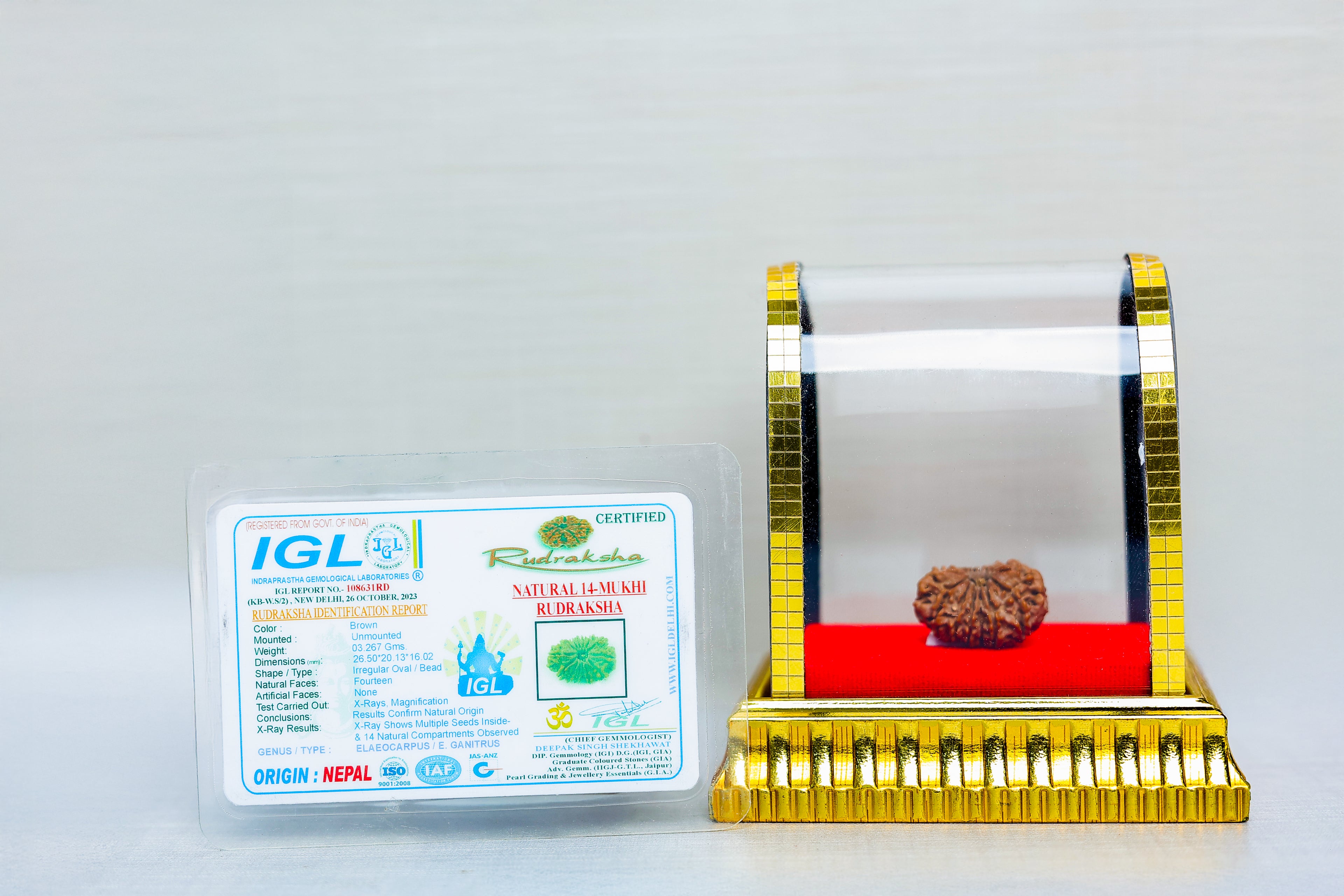 14 mukhi Nepali Rudraksh  Certificate