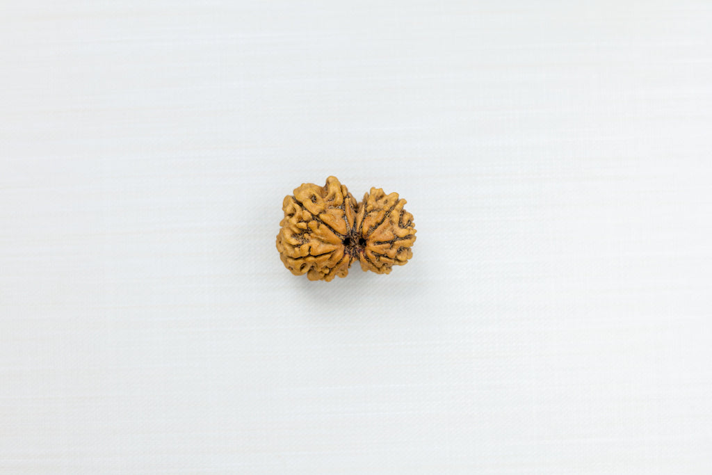 Gauri Shankar Nepali Rudraksha - PASHUPATINATH RUDRAKSH