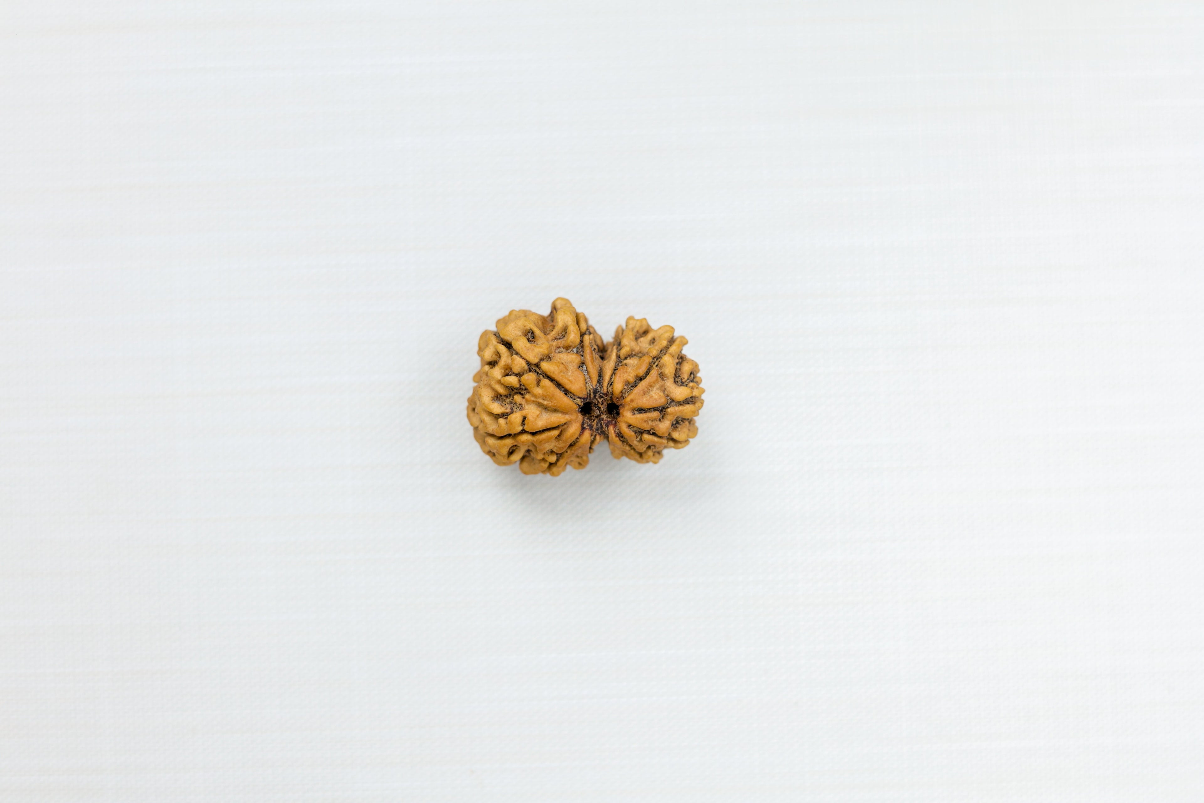 Gauri Shankar Nepali Rudraksha - PASHUPATINATH RUDRAKSH