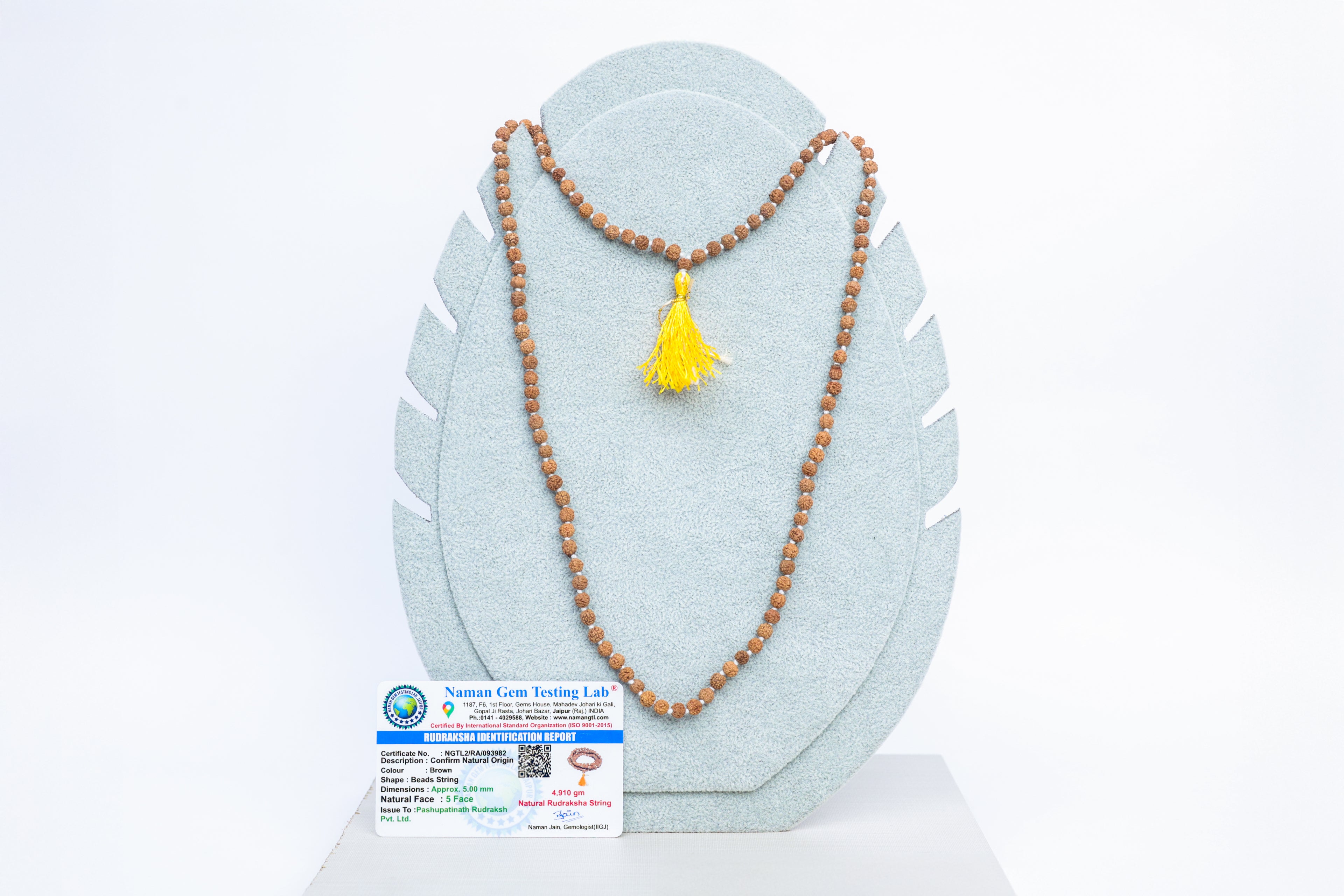 Career Growth Trishakti Rudraksha Kawach