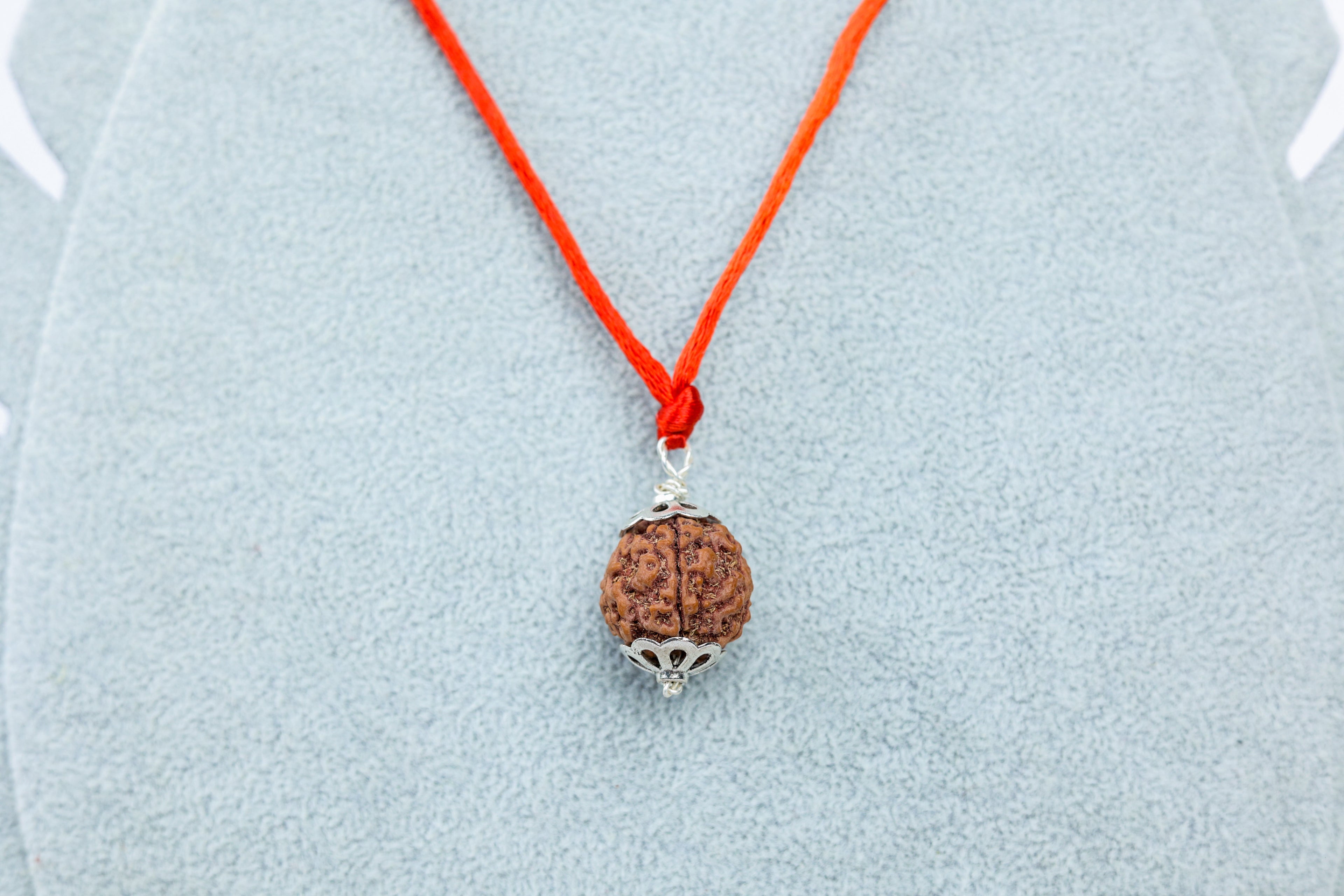 5 Mukhi Nepali Rudraksh in Silver Capping