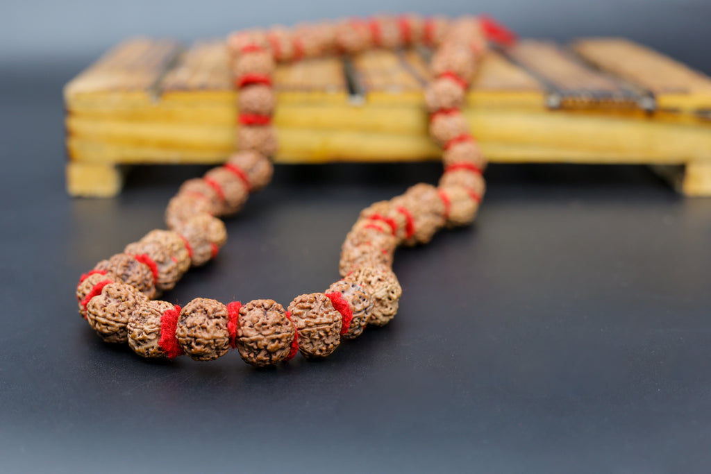 5 Mukhi Rudraksha Big Size Kantha Mala
