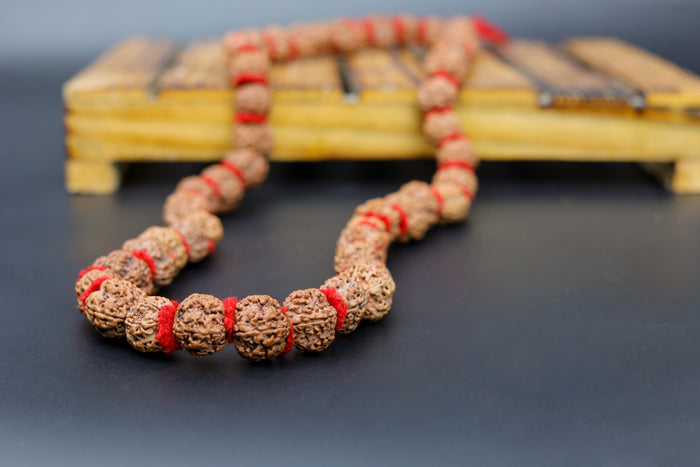 5 Mukhi Rudraksha Big Size Kantha Mala