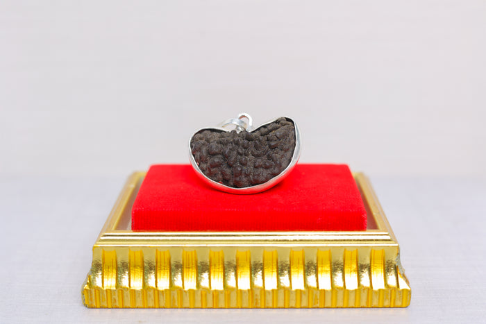  1 Mukhi Rudraksh 