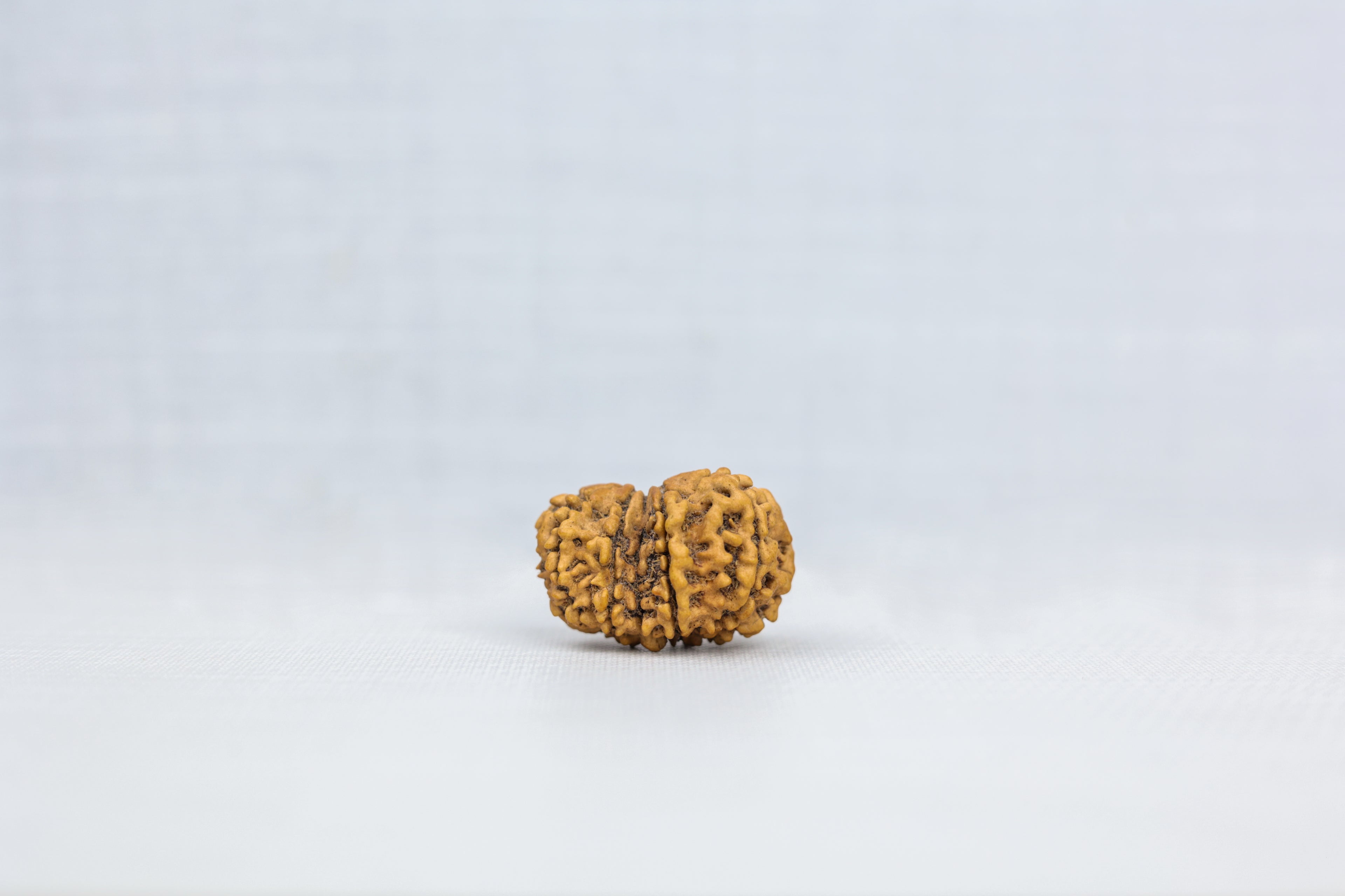 Gauri Shankar Nepali Rudraksha - PASHUPATINATH RUDRAKSH
