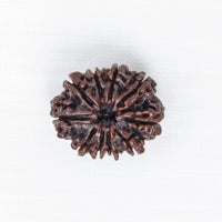 Loose Rudraksh Bead