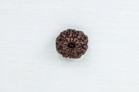 Loose Rudraksh Bead