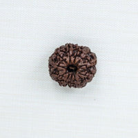Loose Rudraksh Bead