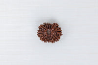 Loose Rudraksh Bead