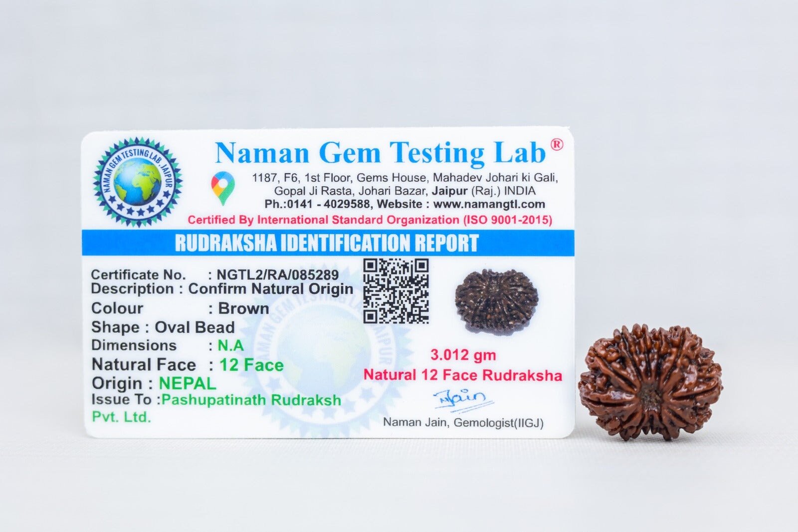 12 Mukhi Nepali Rudraksh with certificate
