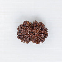 Loose Rudraksh Bead