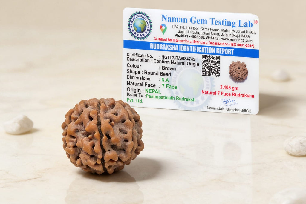 7 Mukhi Nepali Rudraksh: Wealth Business Growth