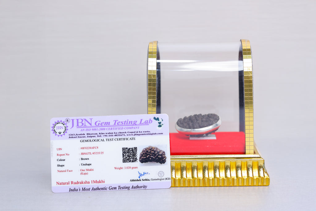 1 Mukhi Rudraksh with certificate