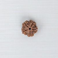 Loose Rudraksh Bead
