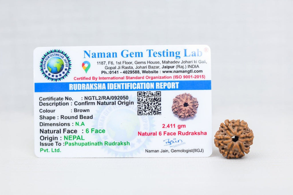 6 Mukhi Nepali Rudraksh with certificate