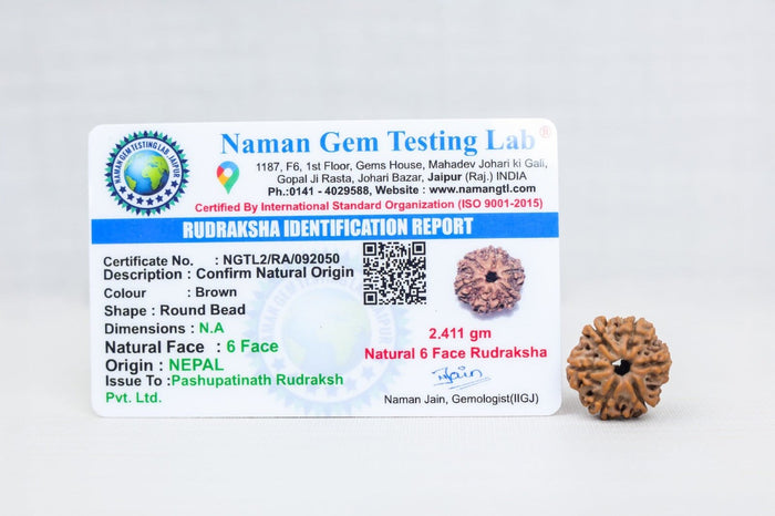 6 Mukhi Nepali Rudraksh with certificate