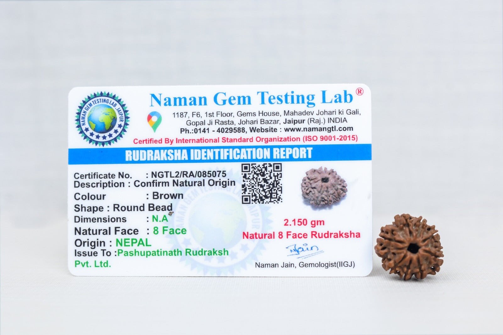 8 Mukhi Rudraksh with certificate