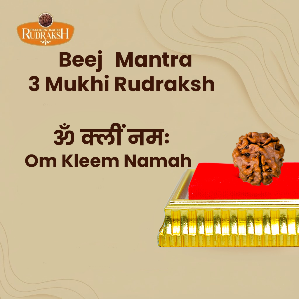 Beej mantra 3 mukhi rudraksh 