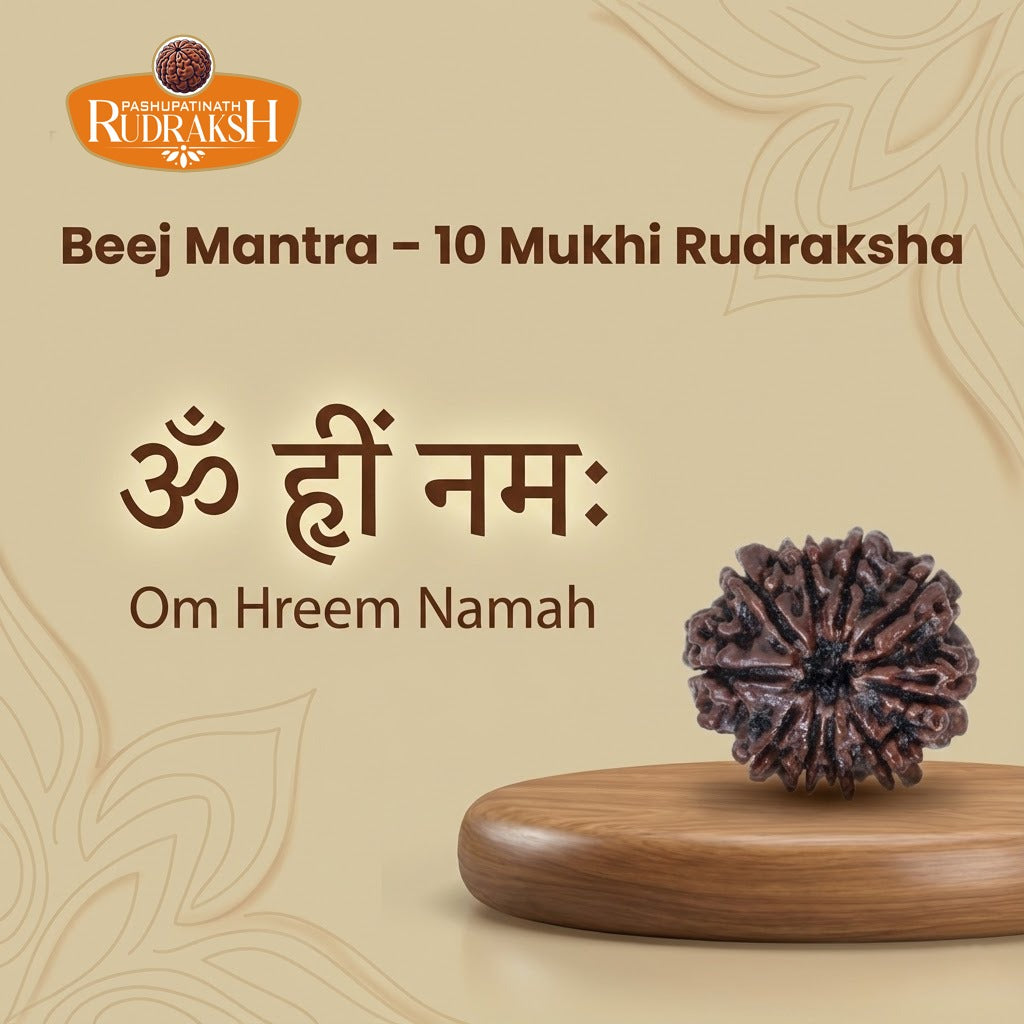 Beej mantra of 10 Mukhi Rudraksha 