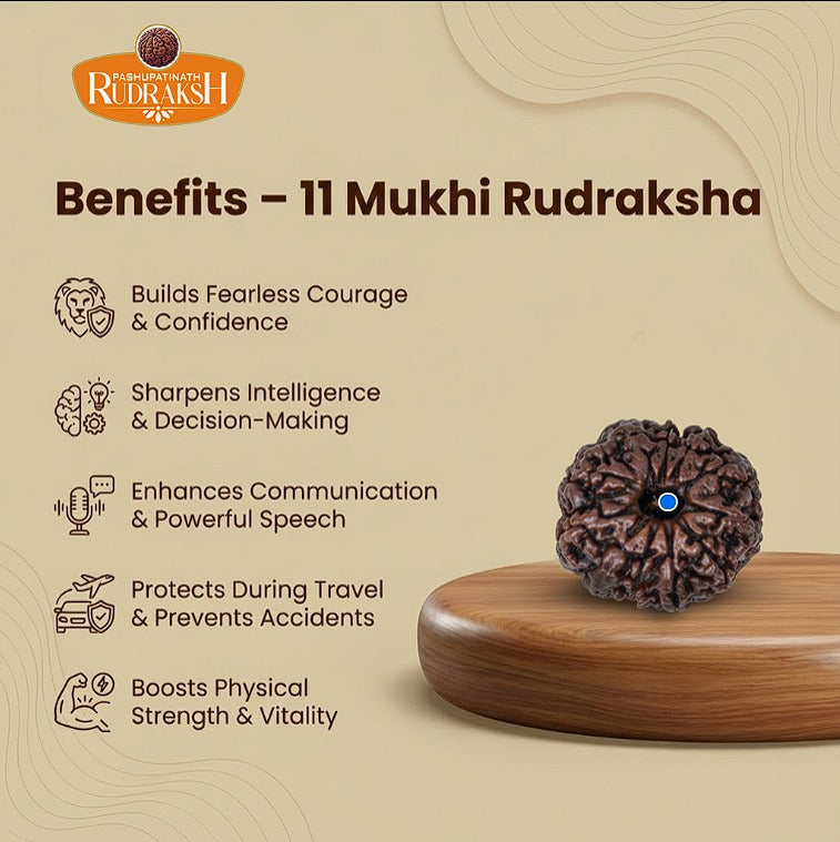 Benefits 11 mukhi Rudraksh 