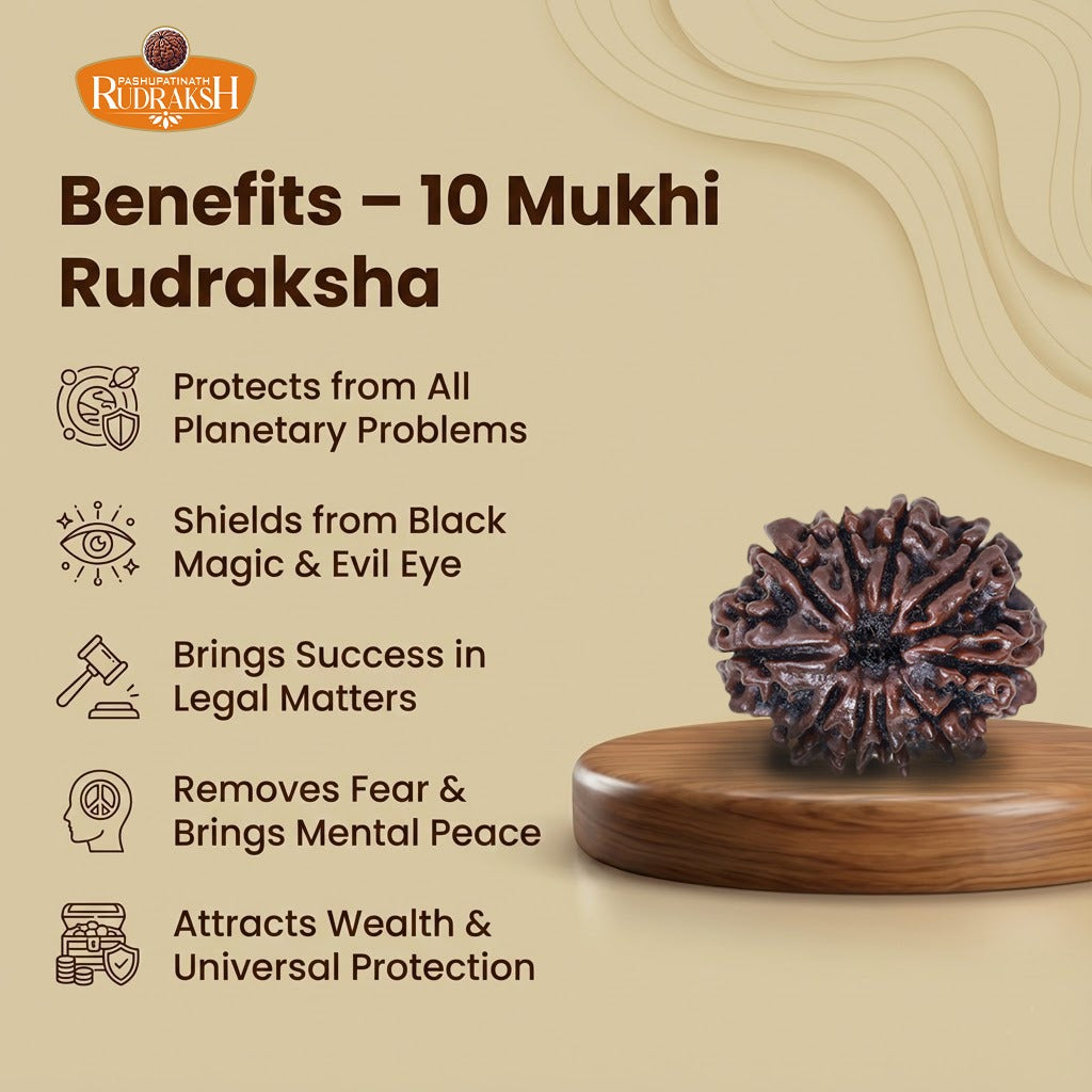 Benefits of 10 Mukhi Rudraksha 