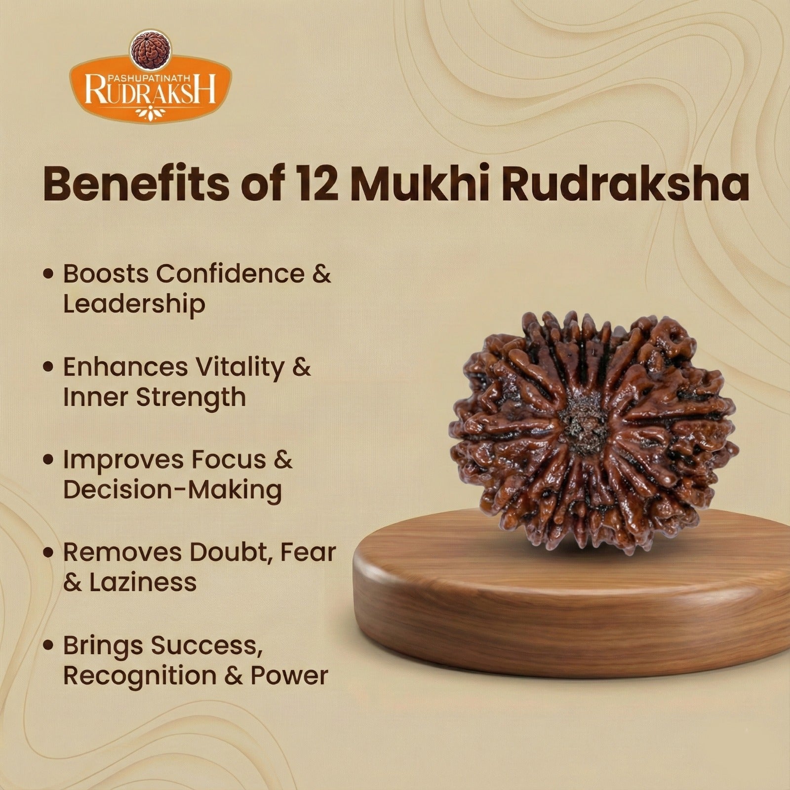 Benefits of  12 Mukhi Rudraksh 