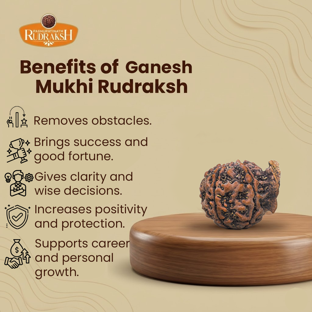 Benefits of Ganesh Mukhi Rudraksh 
