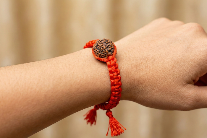 3 Mukhi Nepali Rudraksh 