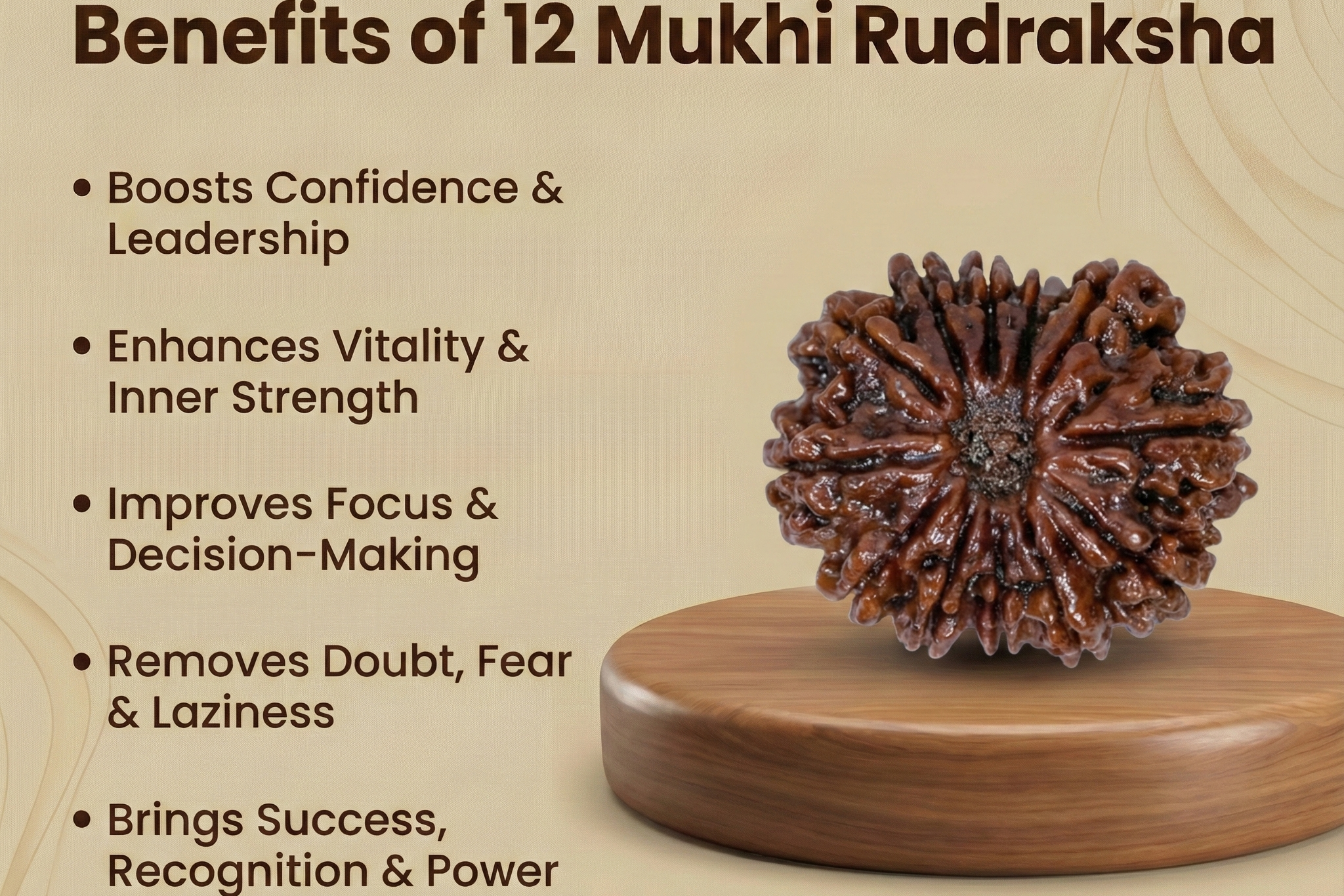 12 Mukhi Nepali Rudraksh-The Radiance of the Sun