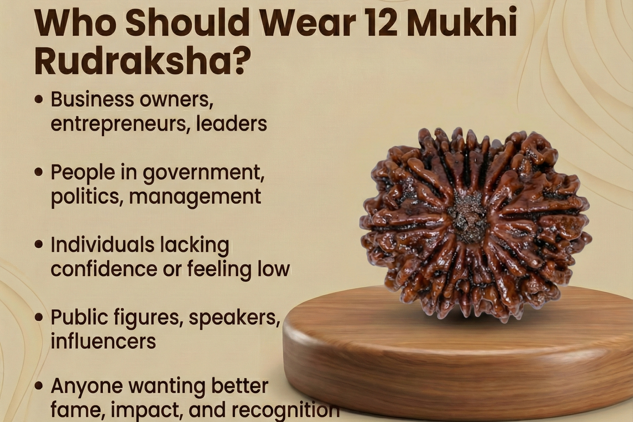 12 Mukhi Nepali Rudraksh-The Radiance of the Sun