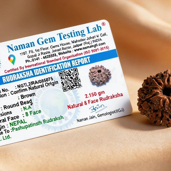 8 Mukhi Nepali Rudraksha