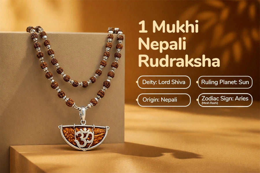 1 Mukhi Kaju Rudraksh