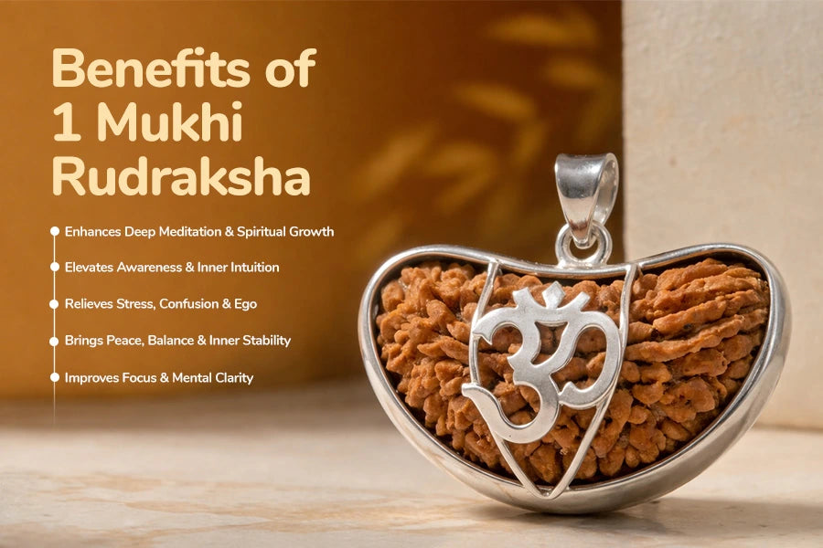 1 Mukhi Kaju Rudraksh