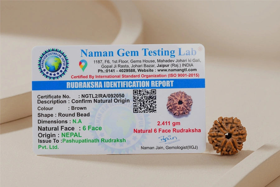 6 Mukhi Nepali Rudraksha: Focus & Willpower