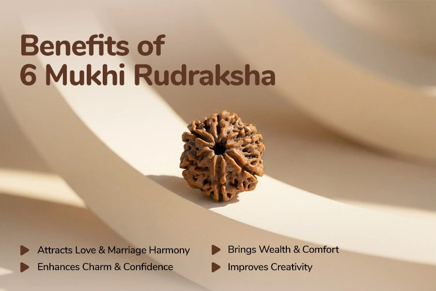 6 Mukhi Nepali Rudraksha: Focus & Willpower