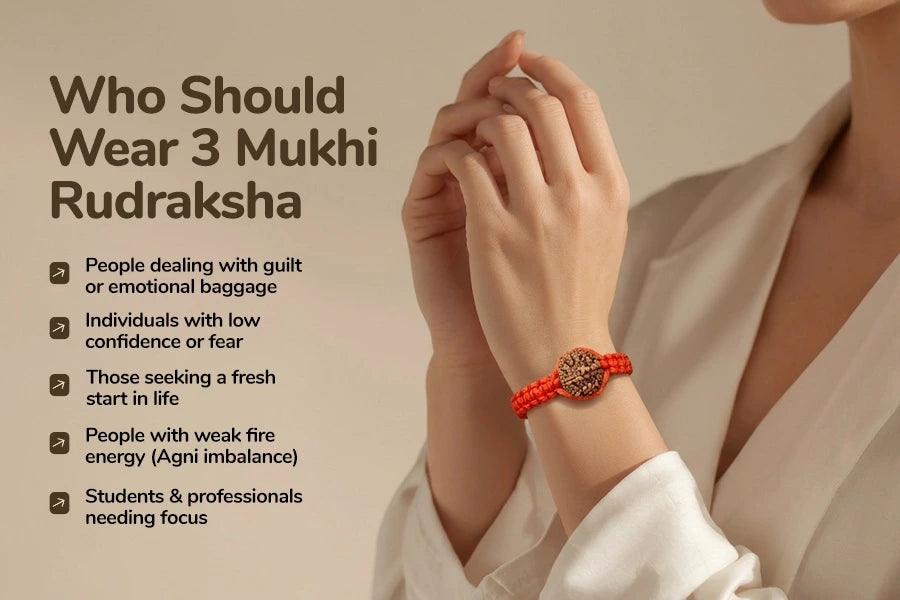 3 Mukhi Nepali Rudraksh 
