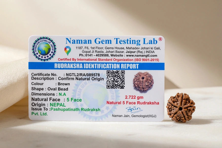 5 Mukhi Nepali Rudraksh-100% natural, lab-certified