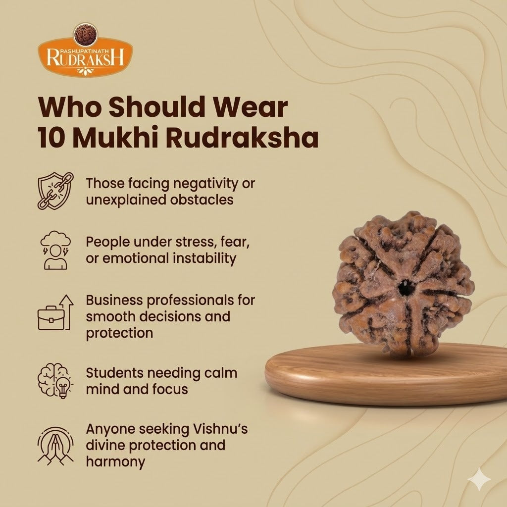 Who should wear 10 mukhi rudraksh 