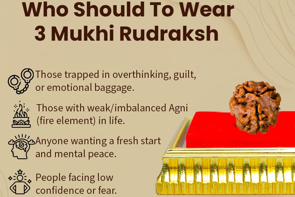 3 Mukhi Nepali Rudraksh: The Bead of Purification