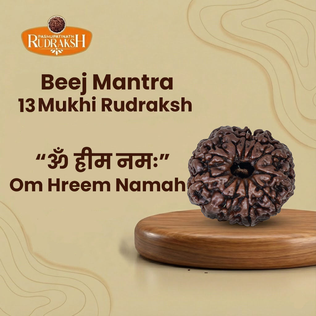 beej_mantra_13 mukhi rudraksh 