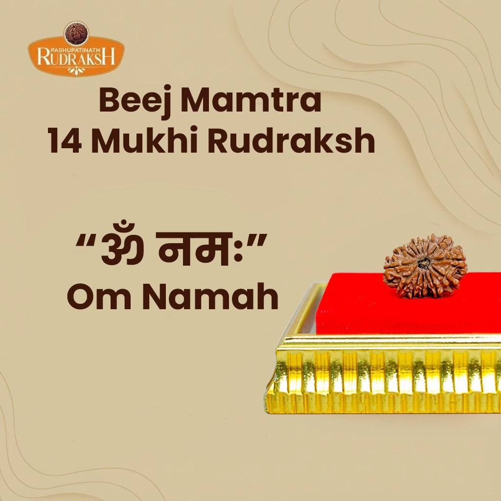beej mantra 14 mukhi rudraksh 