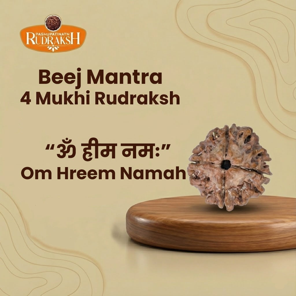 beej mantra 4 mukhi rudraksh 