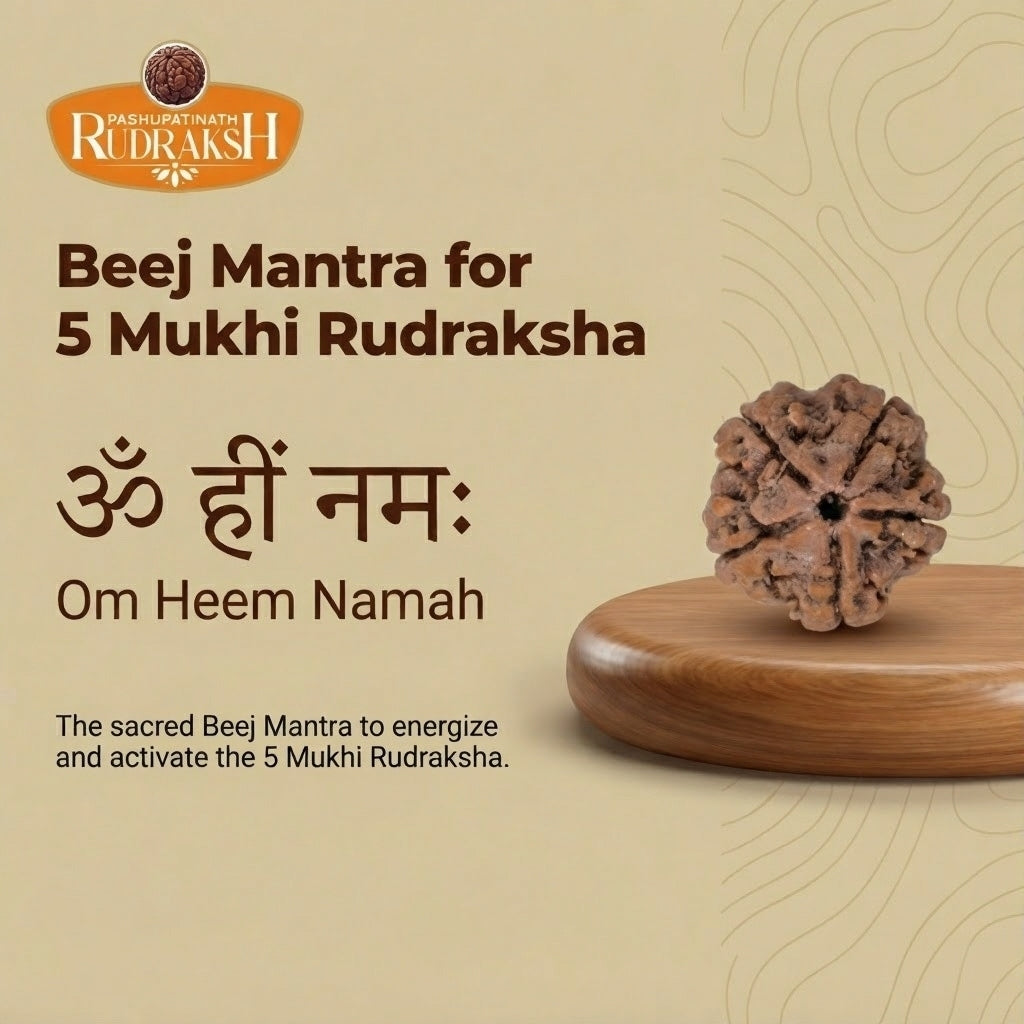 beej mantra for 5 mukhi rudraksha