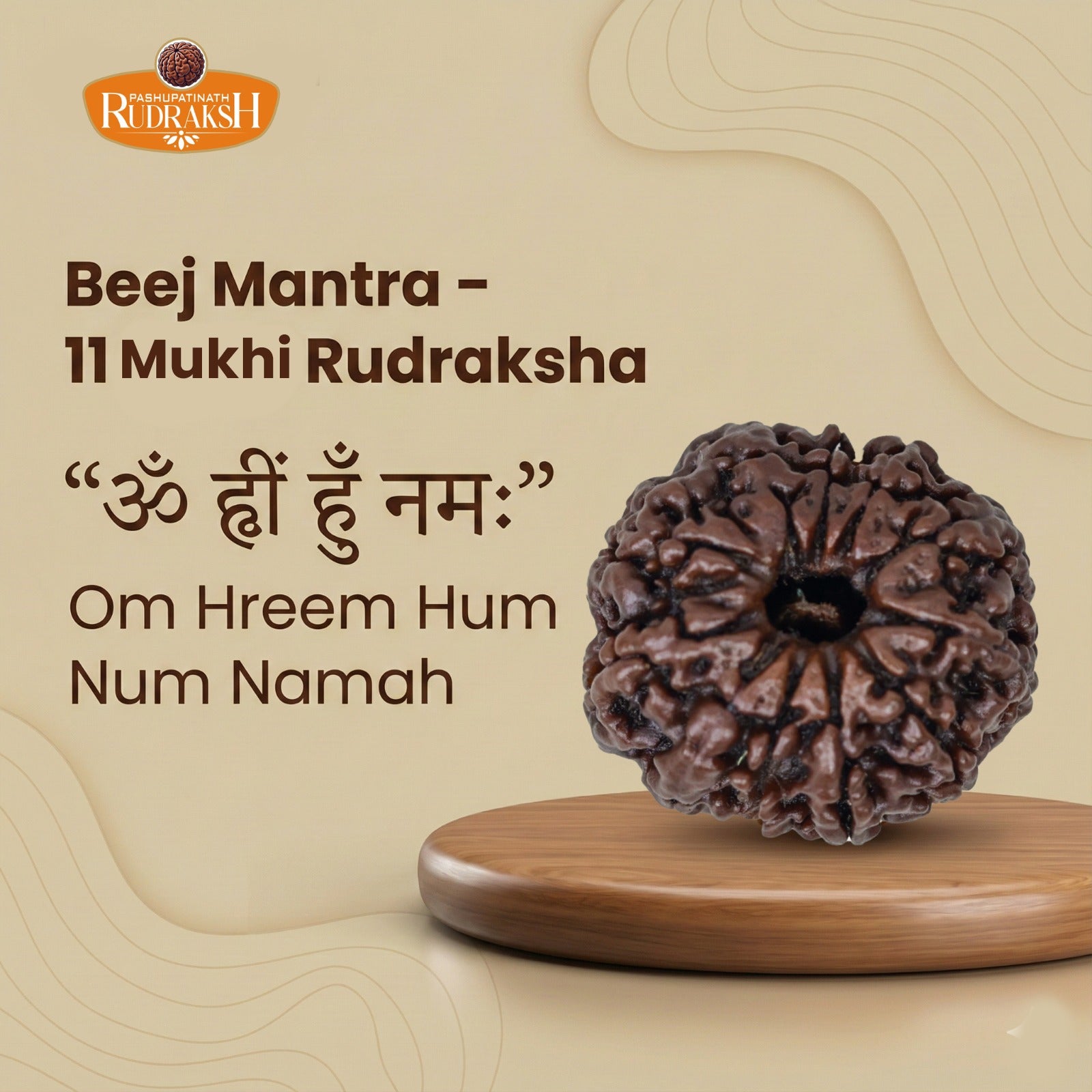 beej mantra of 11 mukhi rudraksh 