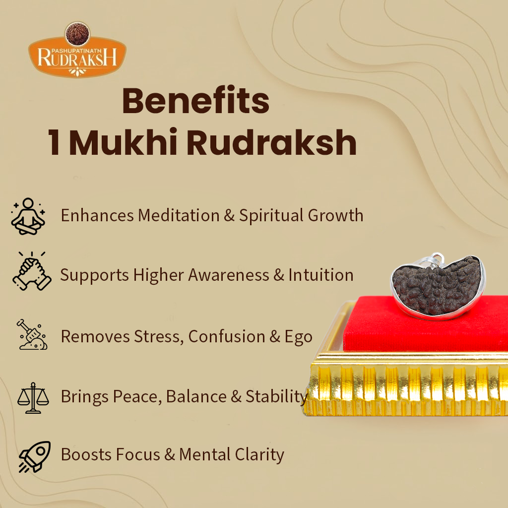 Benefits of 1 mukhi Rudraksh 