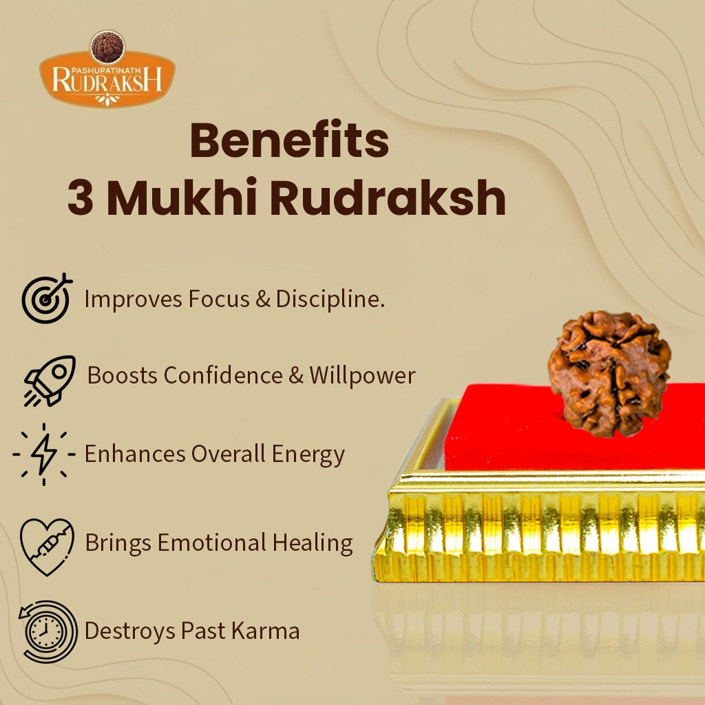 benefits of 3 mukhi rudraksh 