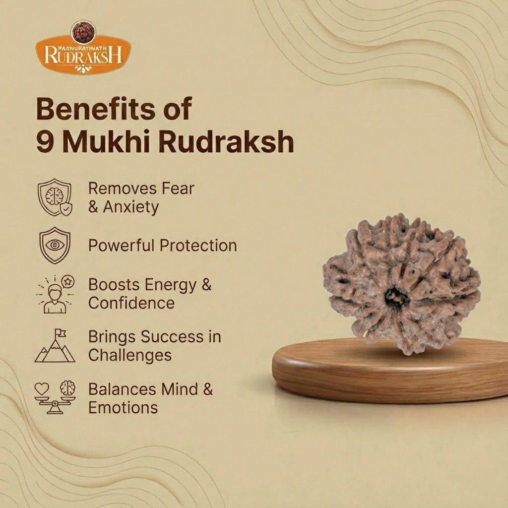 benefits of 9 Mukhi rudraksh