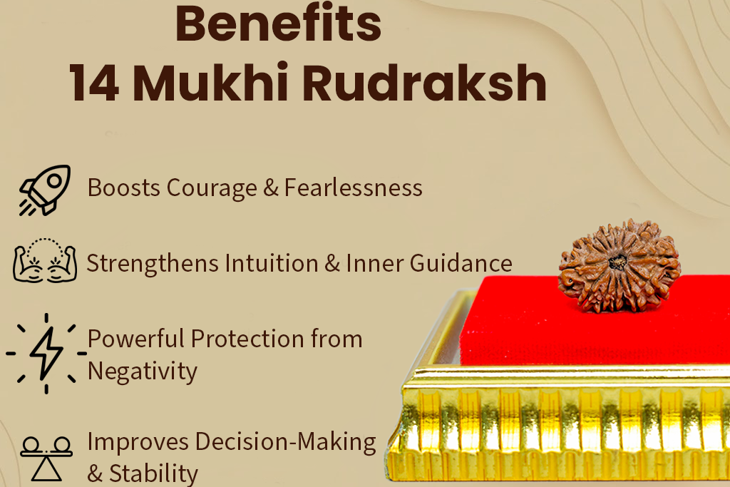 14 Mukhi Nepali Rudraksh: The Divine Gem (Deva Mani)