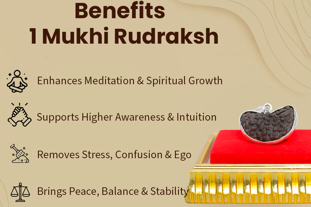 1 Mukhi Kaju Rudraksh (with capping)