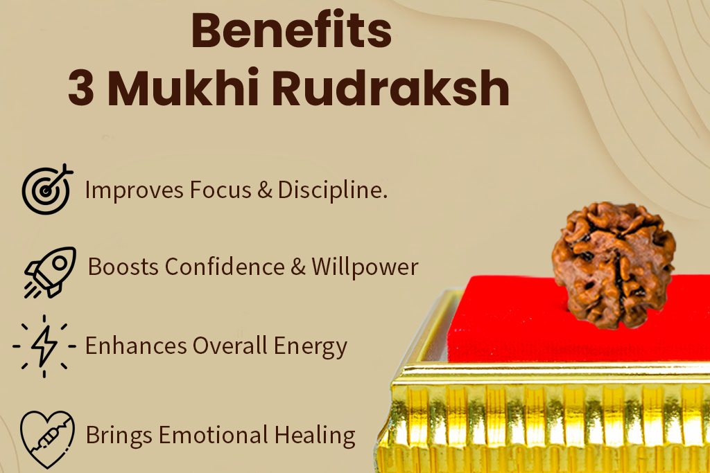 3 Mukhi Nepali Rudraksh: The Bead of Purification